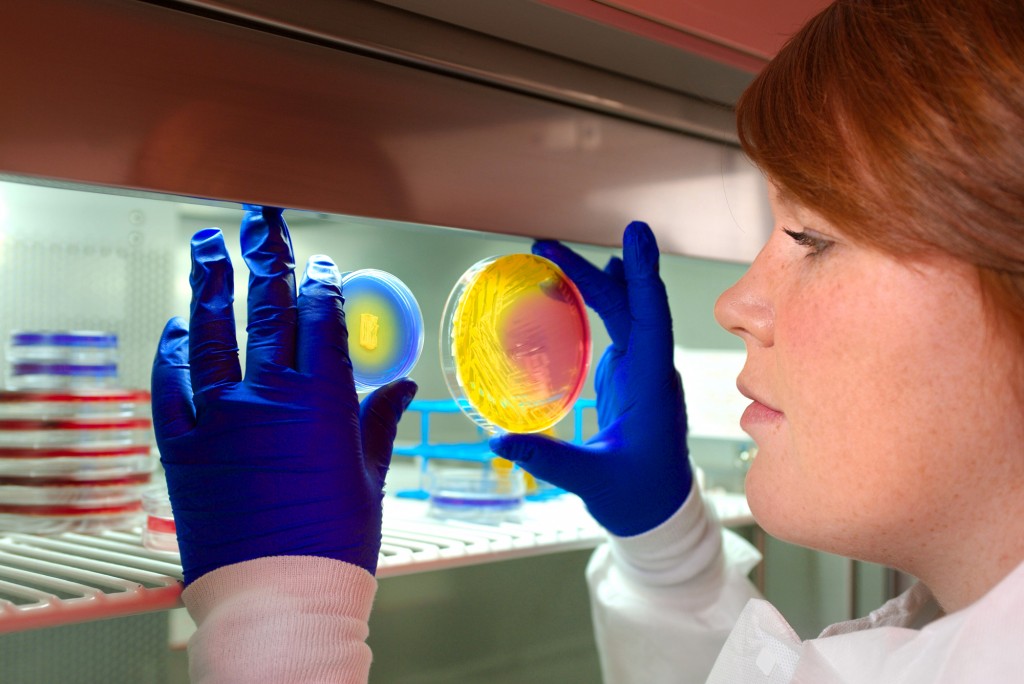 How to Begin a Professional Career as a Microbiologist